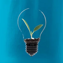 Žiarovka kvetináč