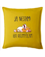 Ja nespím, iba rozmýšľam SK