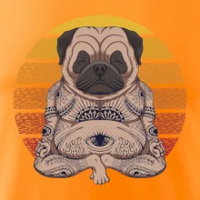 Yoga meditace - pug