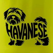 Havanese nápis v tele