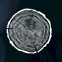 Letokruhy 60 bez veku