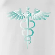 Hrdinovia zdravotníctva - logo (Pecka design)