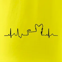 Yorkshirský teriér EKG