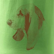 Basset - kreslená hlava