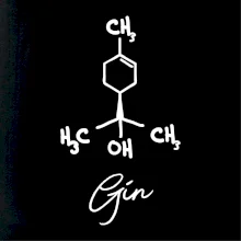 Barová chémia - gin