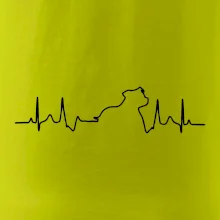 Stafordšírsky bulteriér ‎ EKG