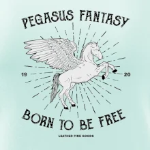 Pegasus fantasy