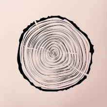 Letokruhy 25 bez veku