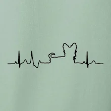 Yorkshirský teriér EKG