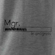 In progress titul Mgr. magister / magistra In progress titul Mgr. magister / magistra