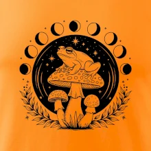 Goblincore fázy mesiaca