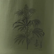 Konope kvietok čiernobiely  