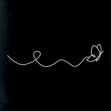 Dráha letu motýľa - vlnovka Dráha letu motýľa - vlnovka