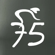 Cyklista oslavuje sedemdesiatpäťpäťky (75)