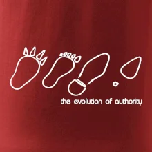 Evolution of authority