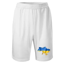 Ukrajina vlajka mapa Ukrajina vlajka mapa