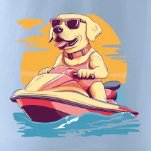 Zlatý retriever na vodnom skútri