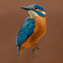 Ľadnáčik kreslený