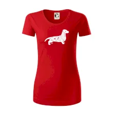 Jazvečík - Dachshund