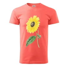 Slnečnica otočená