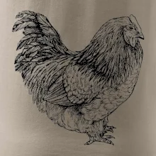 Sliepka čiernobiela