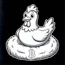 Kurča sediace na bitcoinovom hniezde
