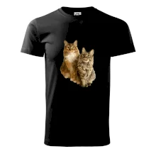 Mačky vectorizované (Moňas)