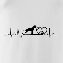 Nemecký boxer EKG Nemecký boxer EKG
