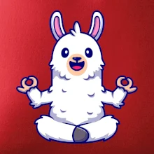 Yoga meditácie - lama