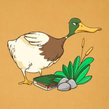 Geokáčer s keškou