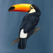 Tukan kreslený