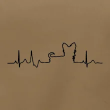 Yorkshirský teriér EKG Yorkshirský teriér EKG