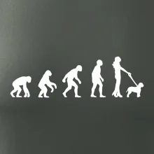 Lagotto romagnolo Evolúcia