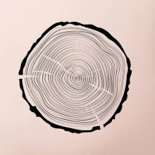 Letokruhy 45 bez veku