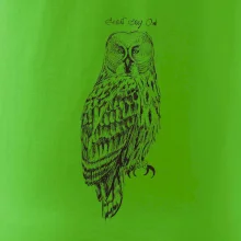 Sova bradatá Barred owl