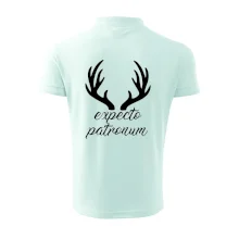 Harry - Expecto patronum