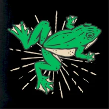 Žaba zelená kreslená