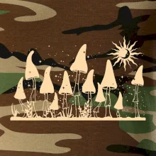 Goblincore noční krajina Goblincore noční krajina