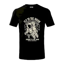 Fly To The Moon Fly To The Moon