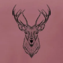 Jeleň kresba Jeleň kresba