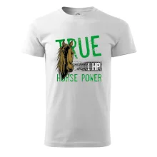 True Horse Power 1 HP True Horse Power 1 HP