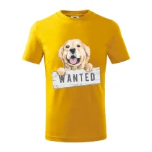 Zlatý retriever - šteniatko wanted