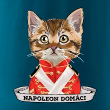Napoleon domáci mačka Napoleon domáci mačka
