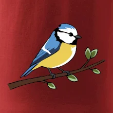 Sýkorka modrinka na vetve