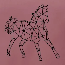 Geometria - kôň jednofarebná