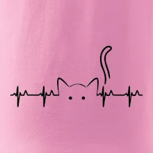 Mačka EKG