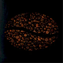 Coffee bean in dark