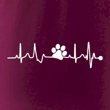 Ekg psia labka Ekg psia labka