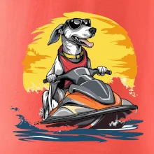 Chrt na vodnom skútri