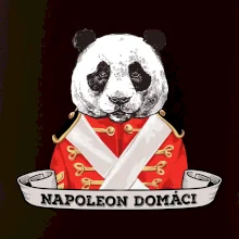 Napoleon domáci panda